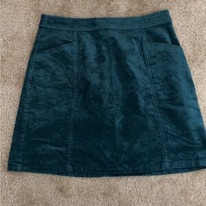 Velvet mini skirt